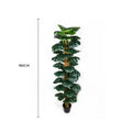 Artificial Monstera Adansonii Money Plant With Decorative Pot 180cm V637-DP75263