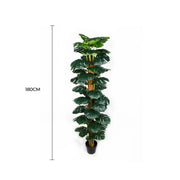 Artificial Monstera Adansonii Money Plant With Decorative Pot 180cm V637-DP75263