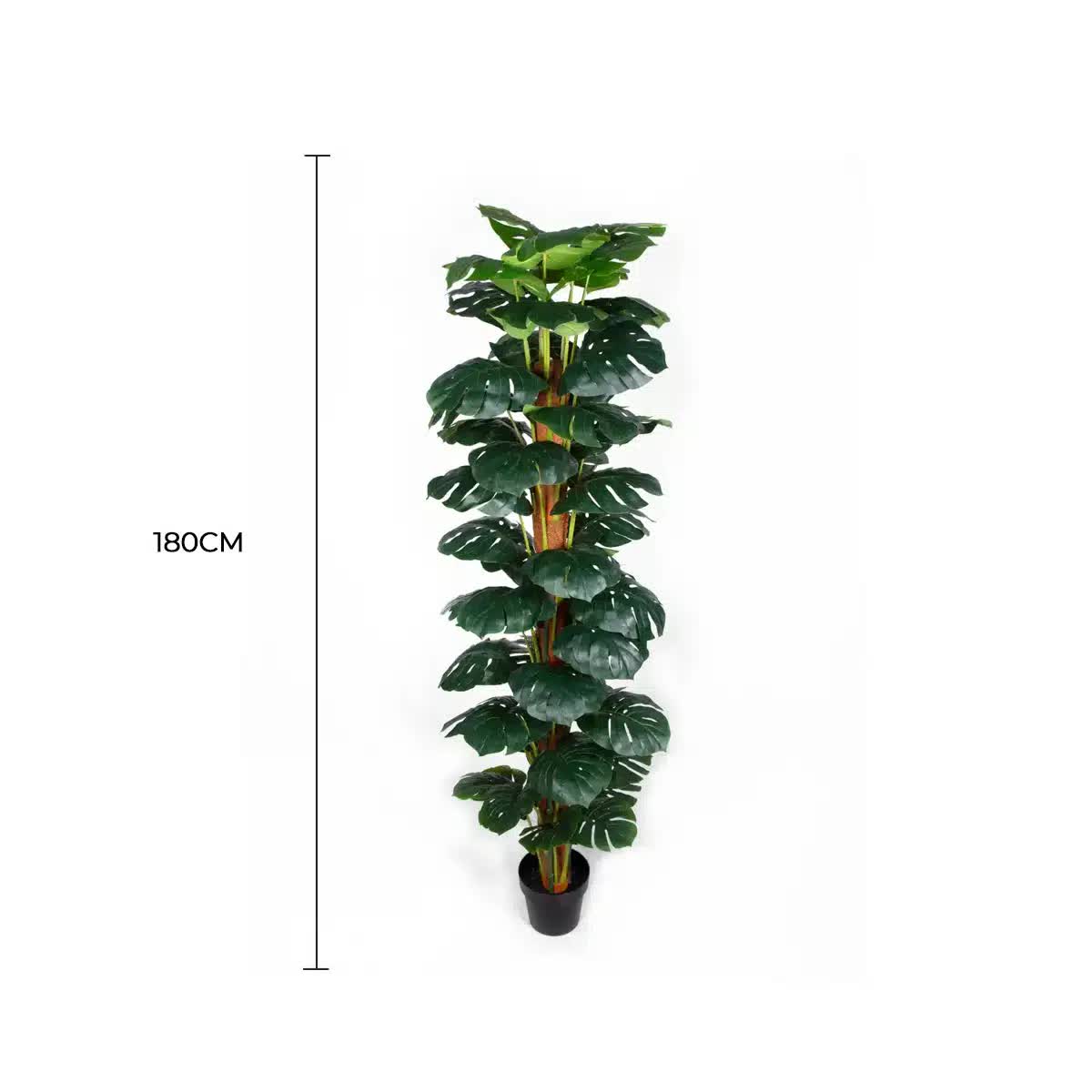 Artificial Monstera Adansonii Money Plant With Decorative Pot 180cm V637-DP75263