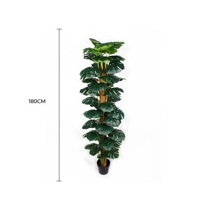 Artificial Monstera Adansonii Money Plant With Decorative Pot 180cm V637-DP75263