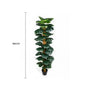 Artificial Monstera Adansonii Money Plant With Decorative Pot 180cm V637-DP75263