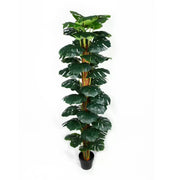 Artificial Monstera Adansonii Money Plant With Decorative Pot 180cm V637-DP75263