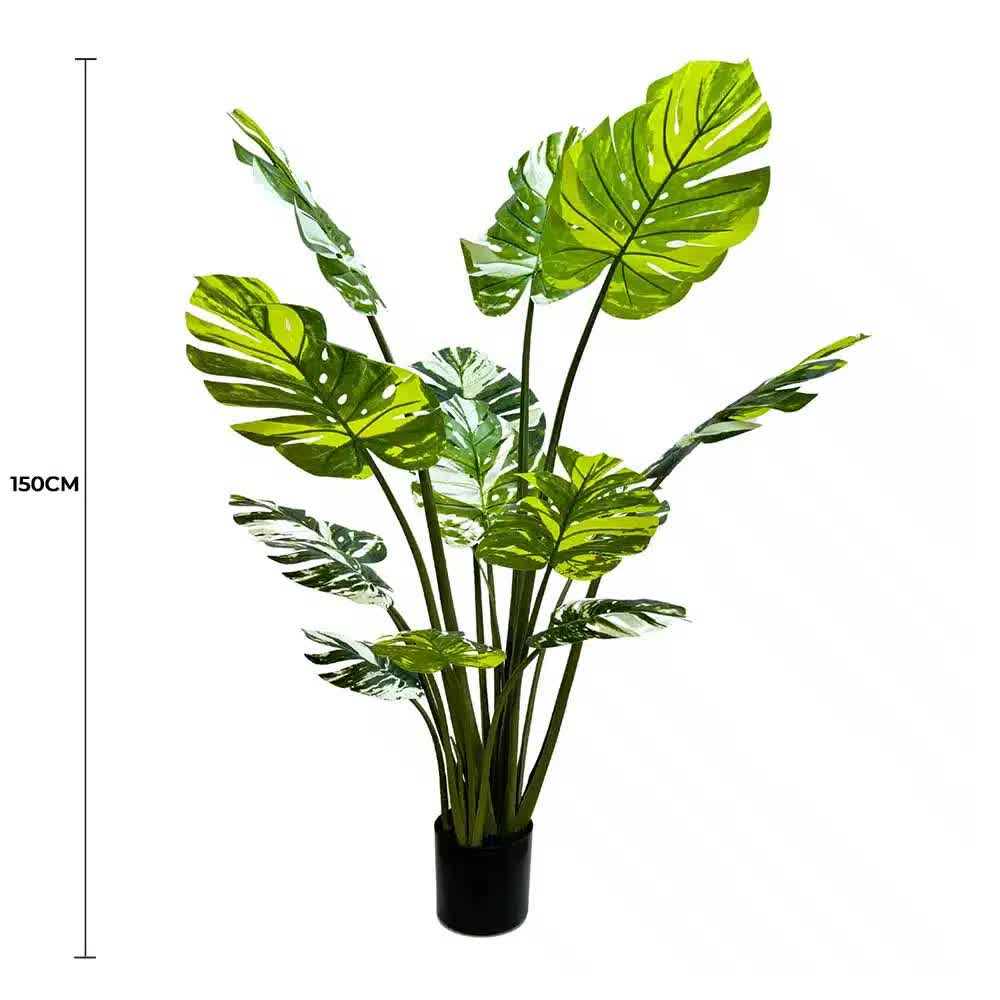Premium Artificial Potted Monstera Albo 150cm V637-DP75264