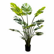 Premium Artificial Potted Monstera Albo 150cm V637-DP75264