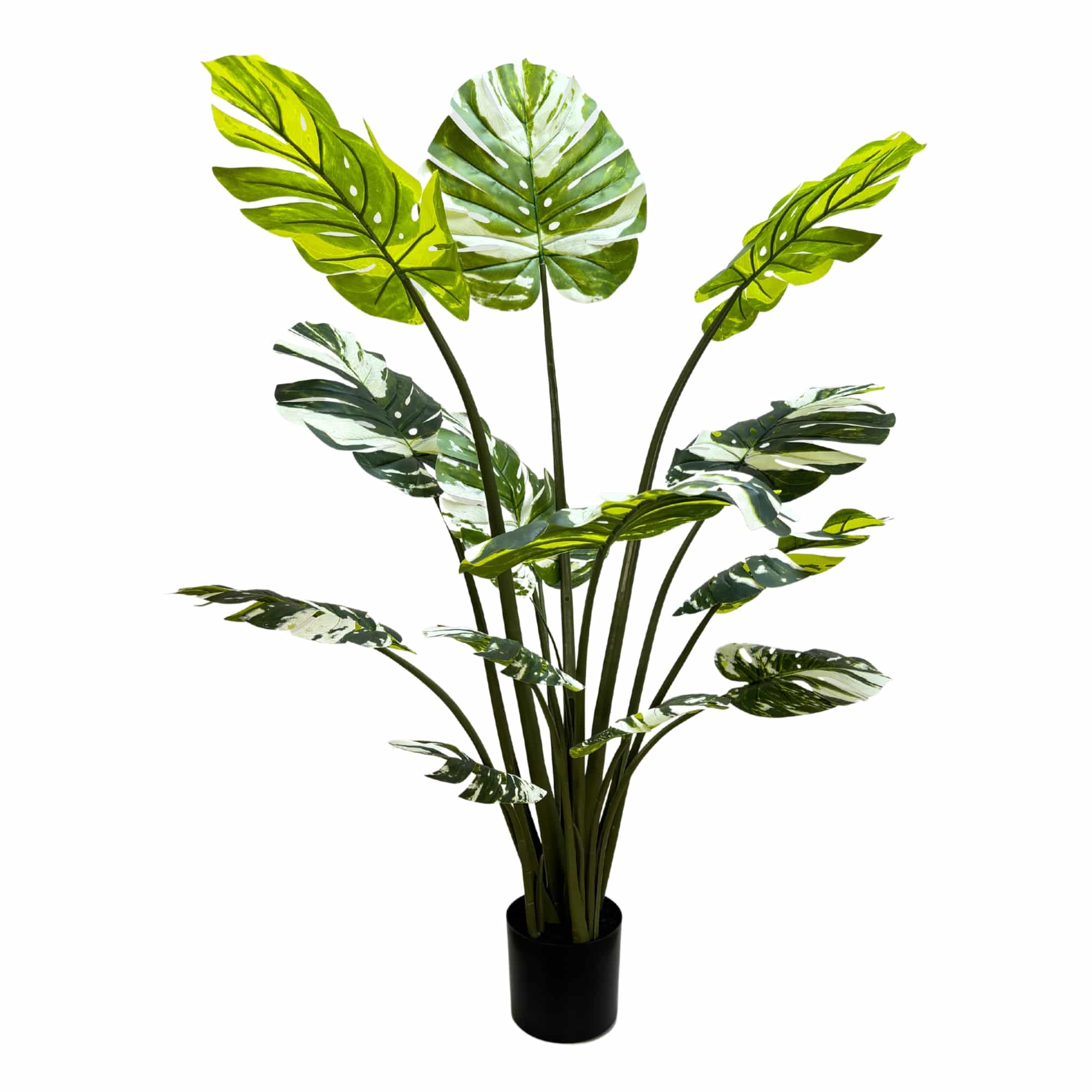 Premium Artificial Potted Monstera Albo 150cm V637-DP75264