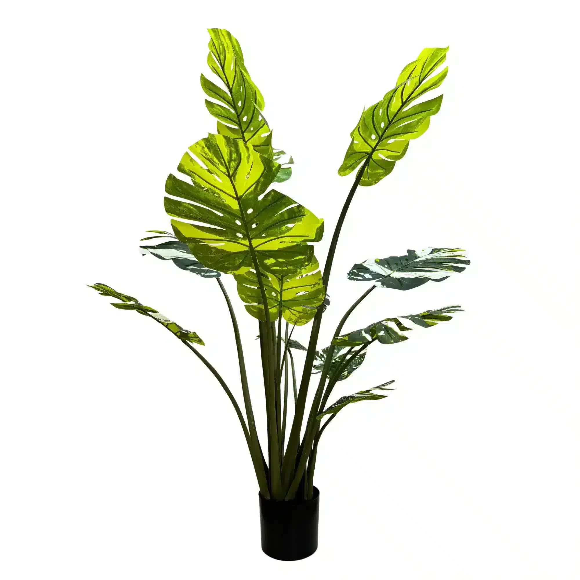 Premium Artificial Potted Monstera Albo 150cm V637-DP75264
