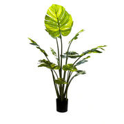 Premium Artificial Potted Monstera Albo 150cm V637-DP75264