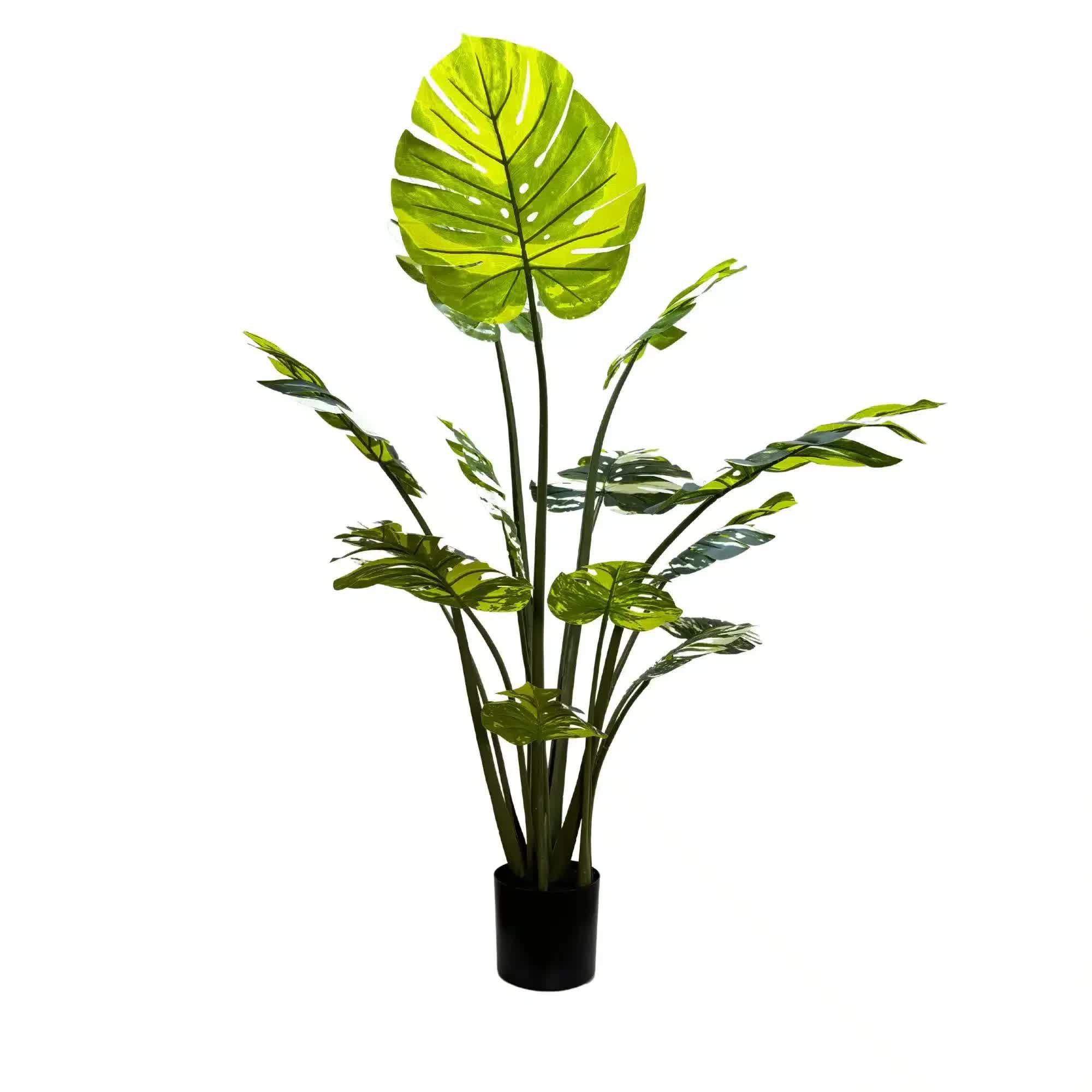 Premium Artificial Potted Monstera Albo 150cm V637-DP75264