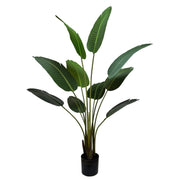 Grand Artificial Potted Travelers Palm (Banana Palm Tree) 160cm V637-DP75265