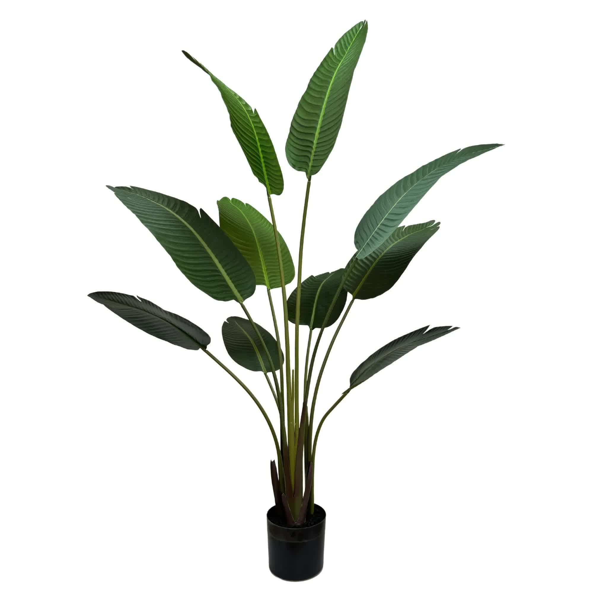 Grand Artificial Potted Travelers Palm (Banana Palm Tree) 160cm V637-DP75265
