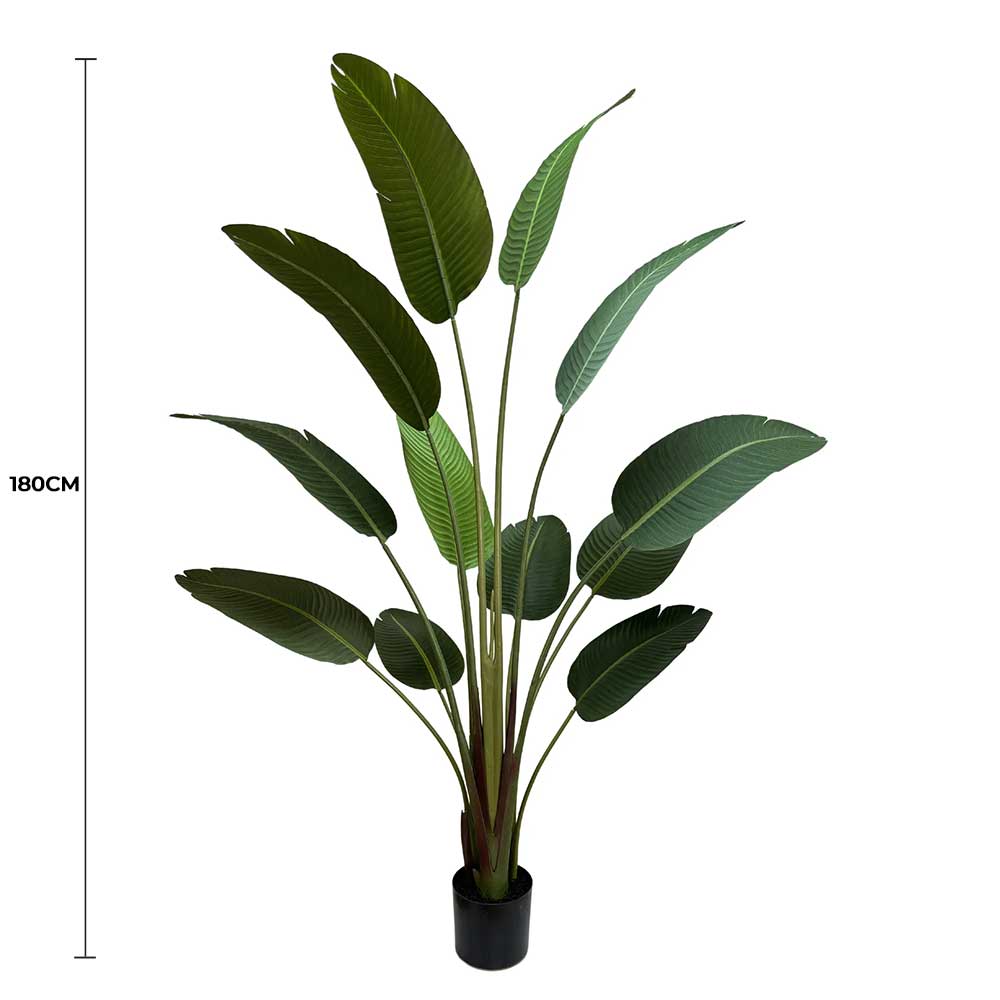 Grand Artificial Potted Travellers Palm (Banana Palm Tree) 180cm V637-DP75267