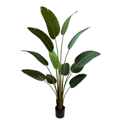 Grand Artificial Potted Travellers Palm (Banana Palm Tree) 180cm V637-DP75267