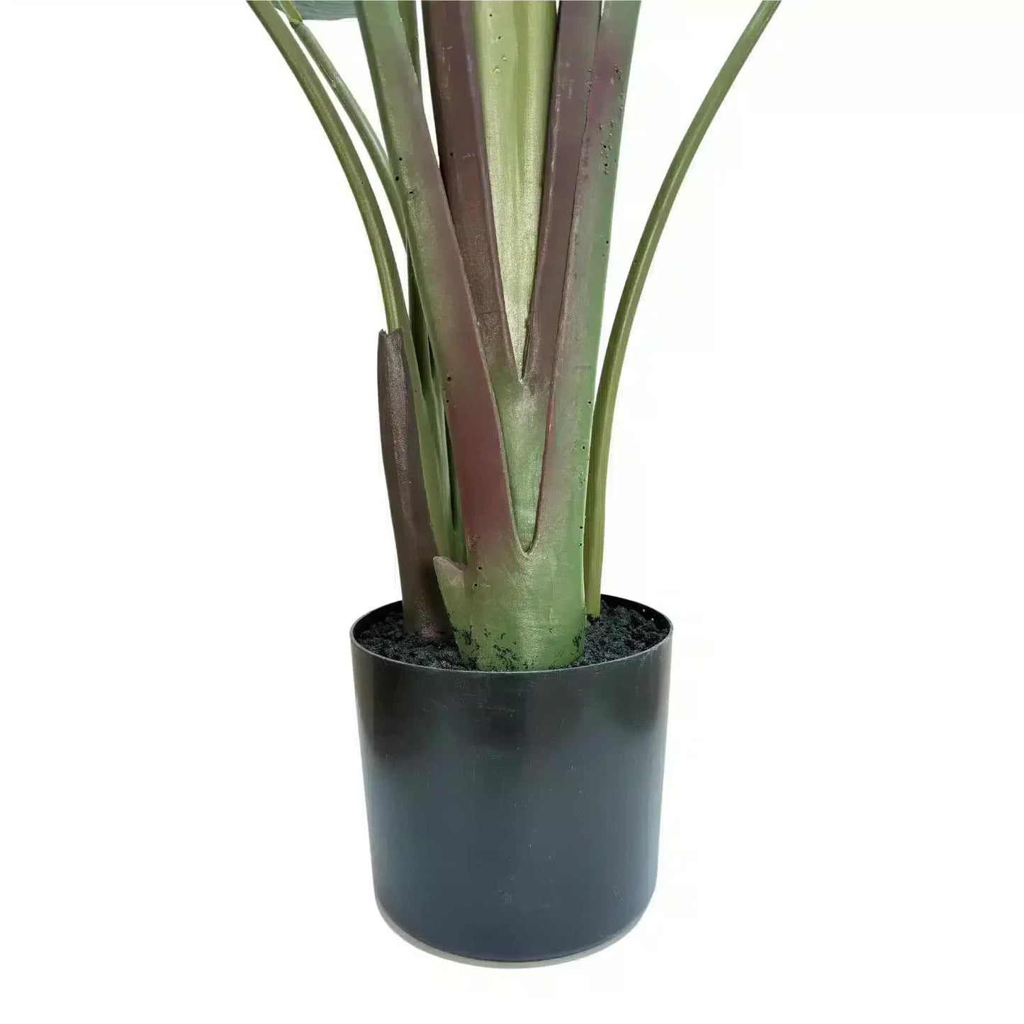 Grand Artificial Potted Travellers Palm (Banana Palm Tree) 180cm V637-DP75267