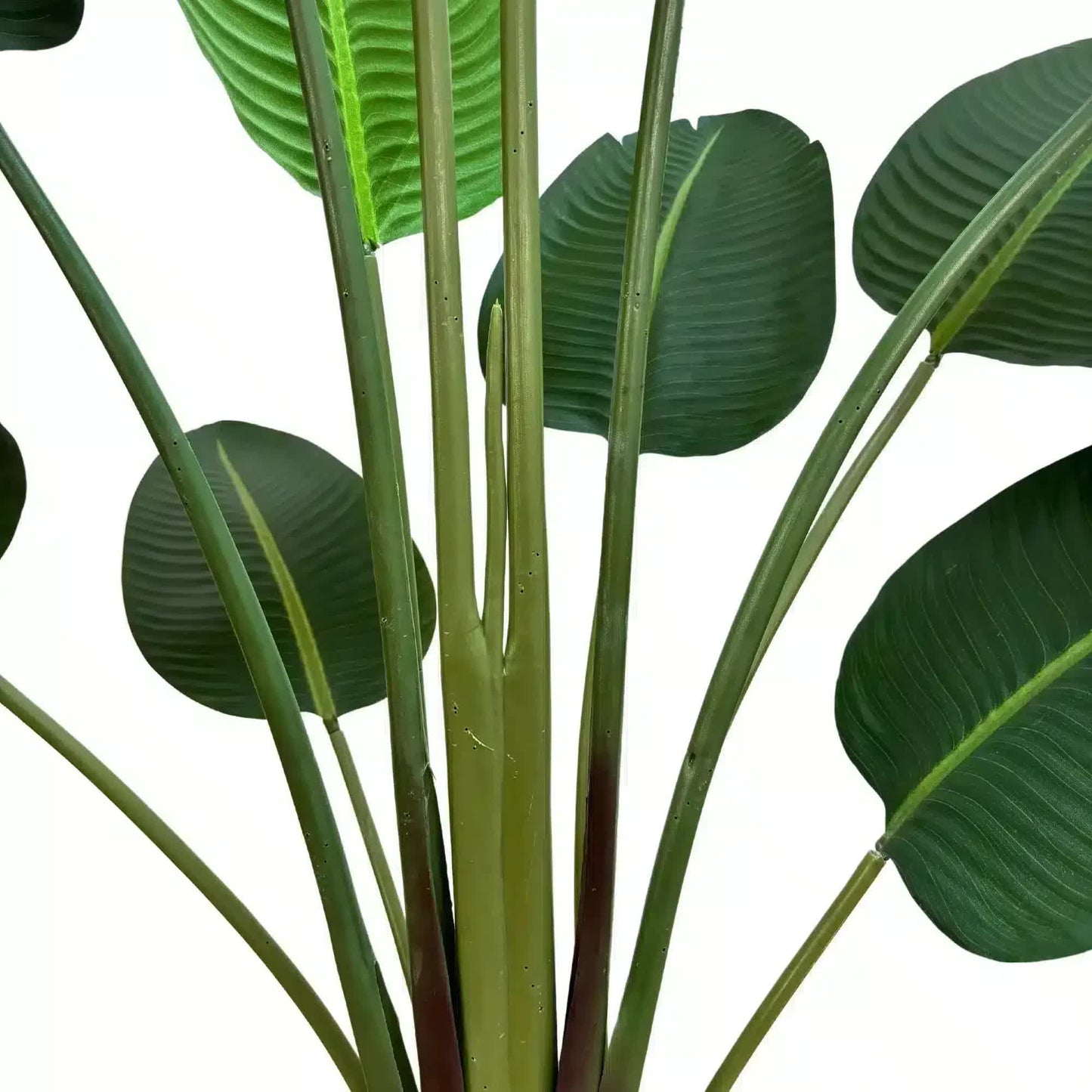 Grand Artificial Potted Travellers Palm (Banana Palm Tree) 180cm V637-DP75267