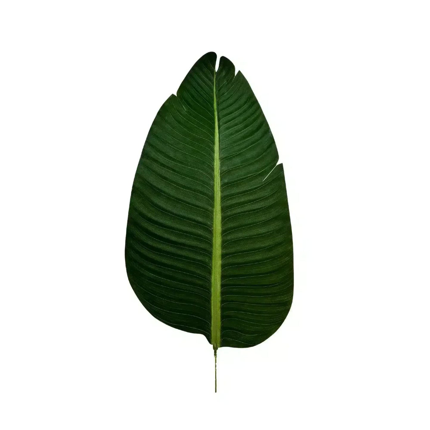 Grand Artificial Potted Travellers Palm (Banana Palm Tree) 180cm V637-DP75267