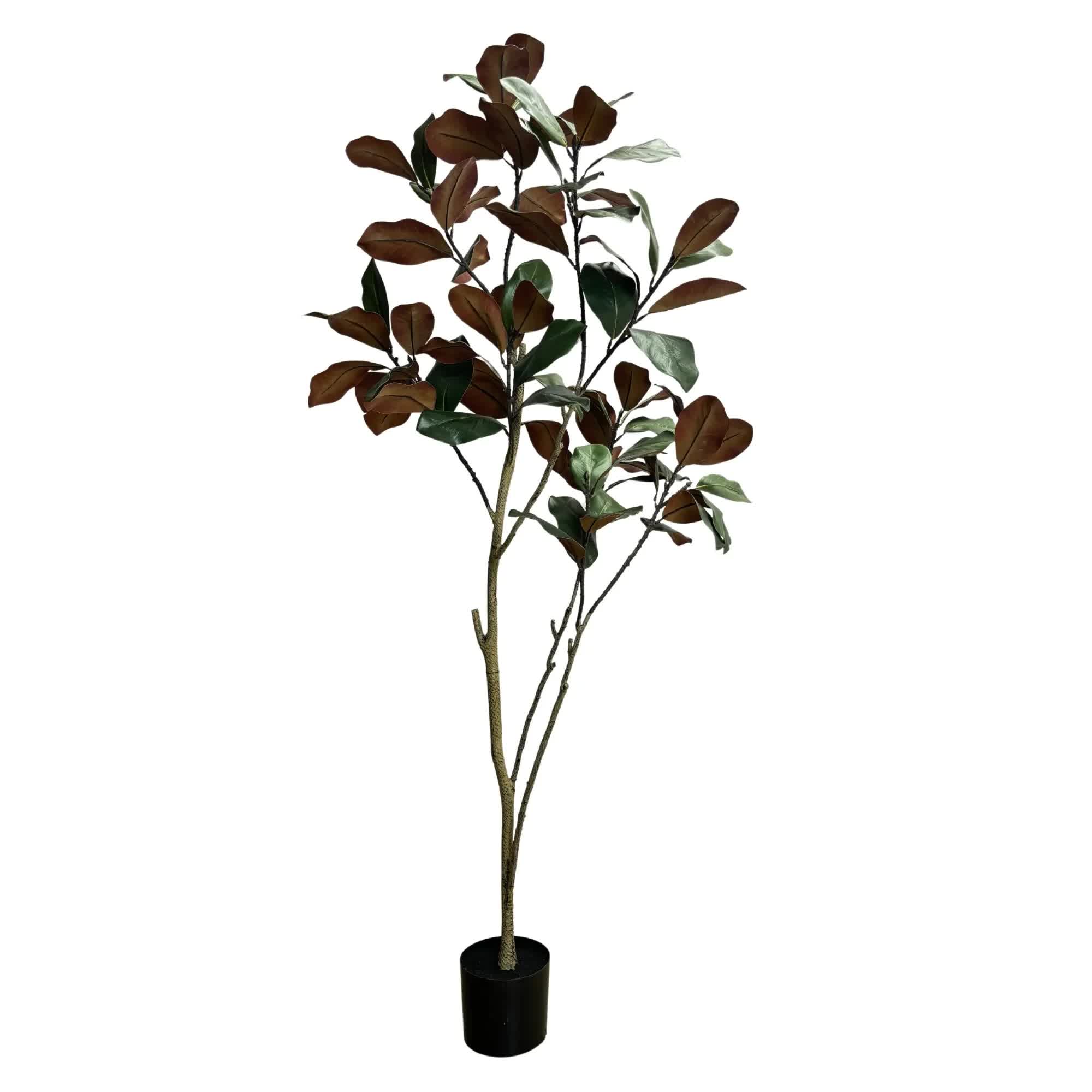 Potted Artificial 180cm Magnolia Tree V637-DP75269KD
