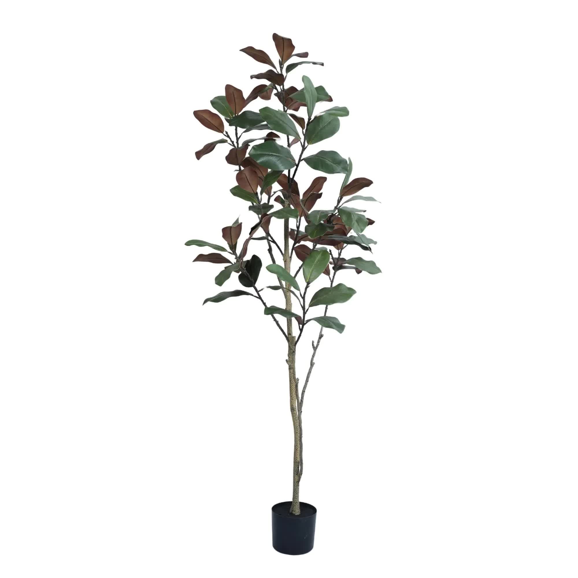Potted Artificial 180cm Magnolia Tree V637-DP75269KD