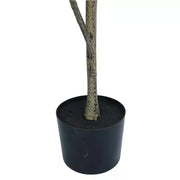Potted Artificial 180cm Magnolia Tree V637-DP75269KD