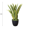 Artificial Mother in Law Tongue / Yellow Tongue Sansevieria UV Resistant 60cm V637-DP75270