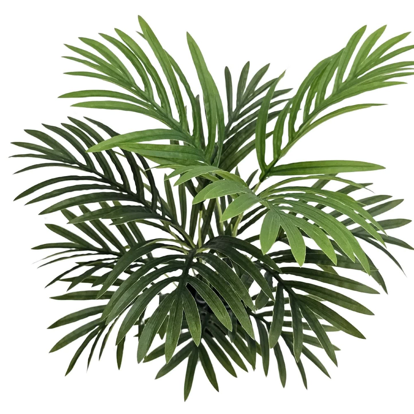 Premium Artificial Potted Premium Mini Palm Tree 55cm V637-DP75273