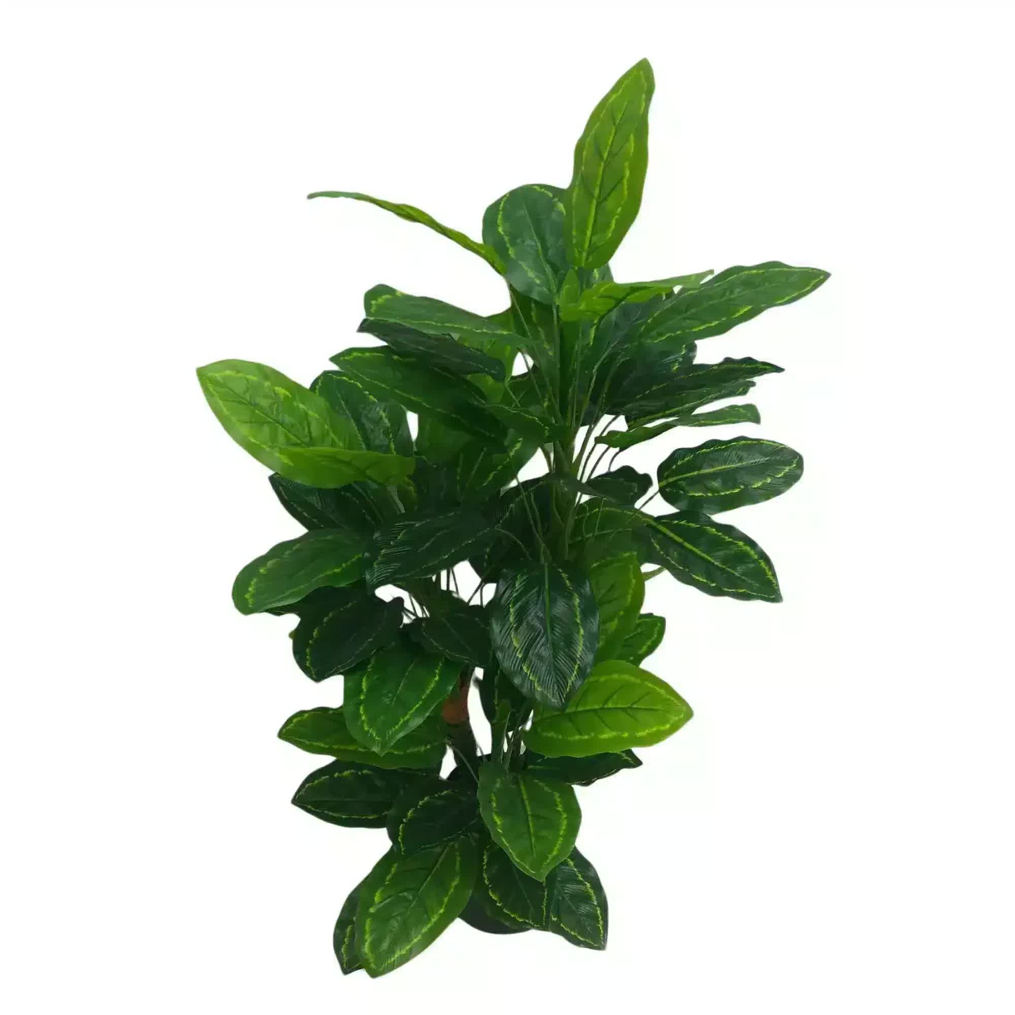 Premium Artificial Cordyline Fructicosa Green / Ti Plant 90cm V637-DP75274