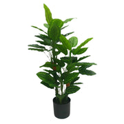 Premium Artificial Cordyline Fructicosa Green / Ti Plant 90cm V637-DP75274