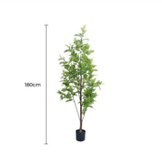 Premium Real Touch Artificial Bracken Palm Tree 180cm V637-DP75275KD