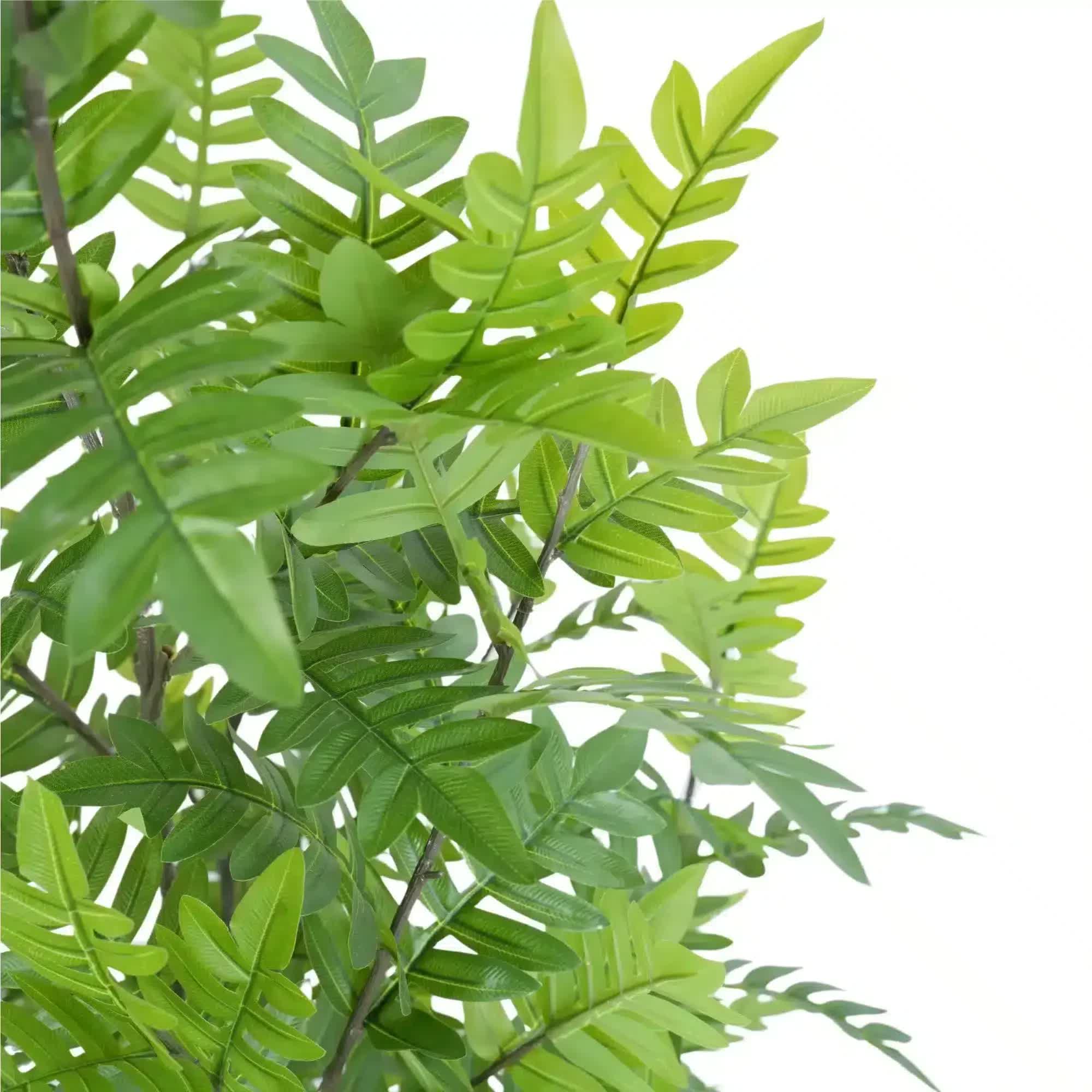 Premium Real Touch Artificial Bracken Palm Tree 180cm V637-DP75275KD
