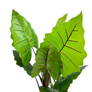 Nearly Natural Artificial Taro Elephant Ear Palm 170cm V637-DP75276
