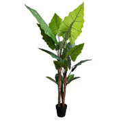 Nearly Natural Artificial Taro Elephant Ear Palm 170cm V637-DP75276