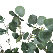 Artificial Eucalyptus Tree (Red Box Eucalyptus Polyanthemos) 150cm V637-DP7650015