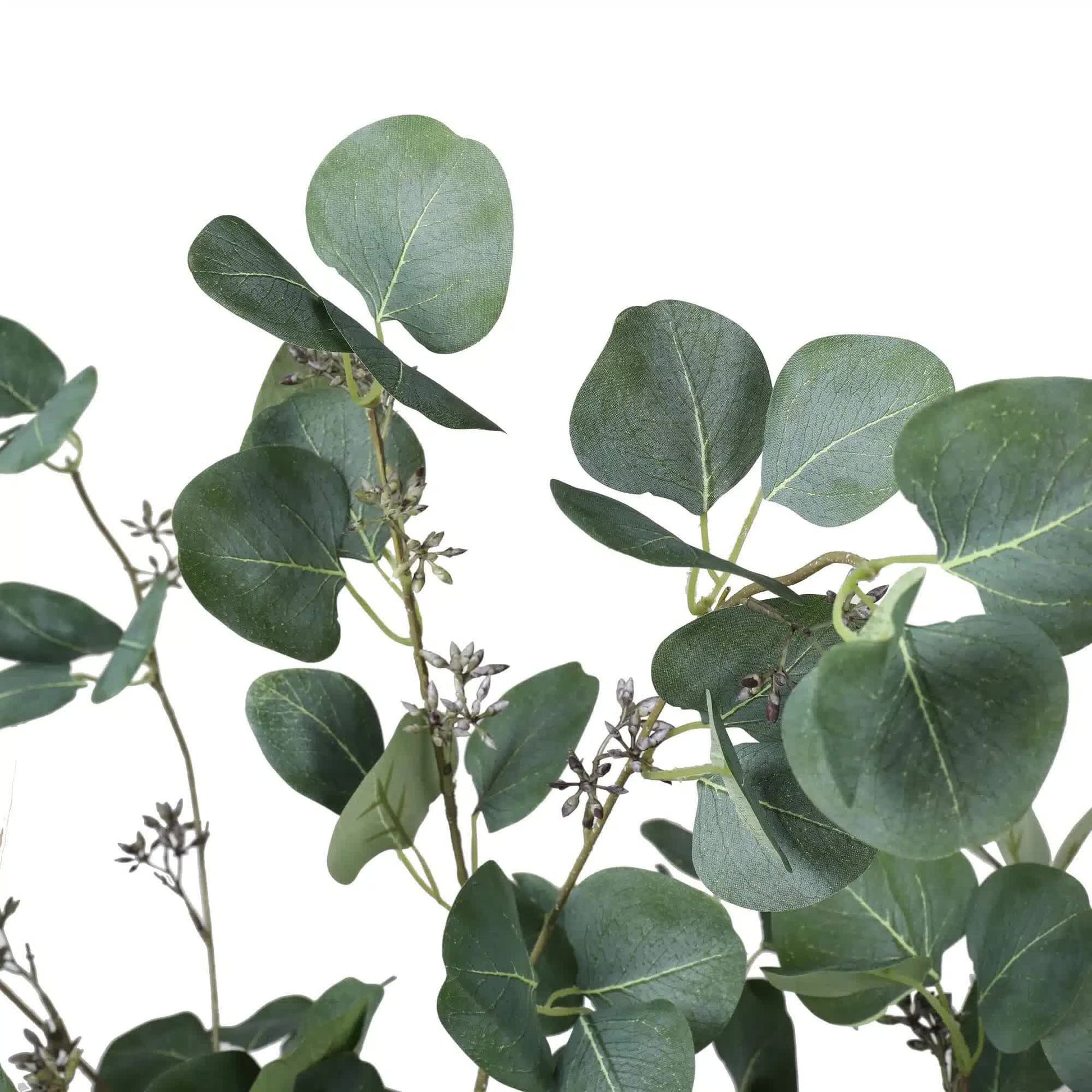 Artificial Eucalyptus Tree (Red Box Eucalyptus Polyanthemos) 150cm V637-DP7650015