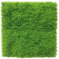 Fresh Natural Green Artificial Moss / Green Wall UV Resistant Sample V637-DP7890013-S