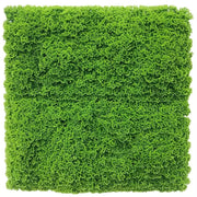 Fresh Natural Green Artificial Moss / Green Wall UV Resistant Sample V637-DP7890013-S