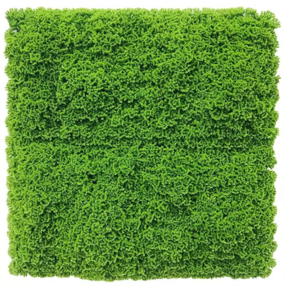 Fresh Natural Green Artificial Moss / Green Wall UV Resistant Sample V637-DP7890013-S