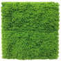 Fresh Natural Green Artificial Moss / Green Wall UV Resistant Sample V637-DP7890013-S