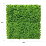Fresh Natural Green Artificial Moss / Green Wall UV Resistant Sample V637-DP7890013-S