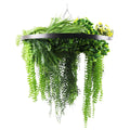Black Framed Roof Hanging Disc With Draping Life-Like Ferns and Plants 80cm UV Resistant V637-DP80100