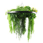 Black Framed Roof Hanging Disc With Draping Life-Like Ferns and Plants 80cm UV Resistant V637-DP80100