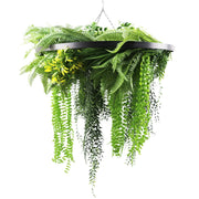Black Framed Roof Hanging Disc With Draping Life-Like Ferns and Plants 80cm UV Resistant V637-DP80100
