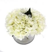 Premium Faux Hydrangea with Glass Vase (Artificial Flowering White Hydrangea) 23cm V637-DP88014