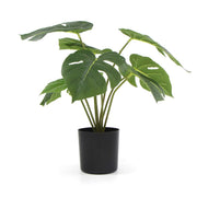 Potted Artificial Monstera Split Philodendron Plant with Real Touch Leaves 35cm V637-DP8870011