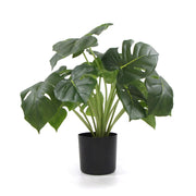 Dense Potted Artificial Monstera Deliciosa Plant With Real Touch Leaves 50cm V637-DP8870012