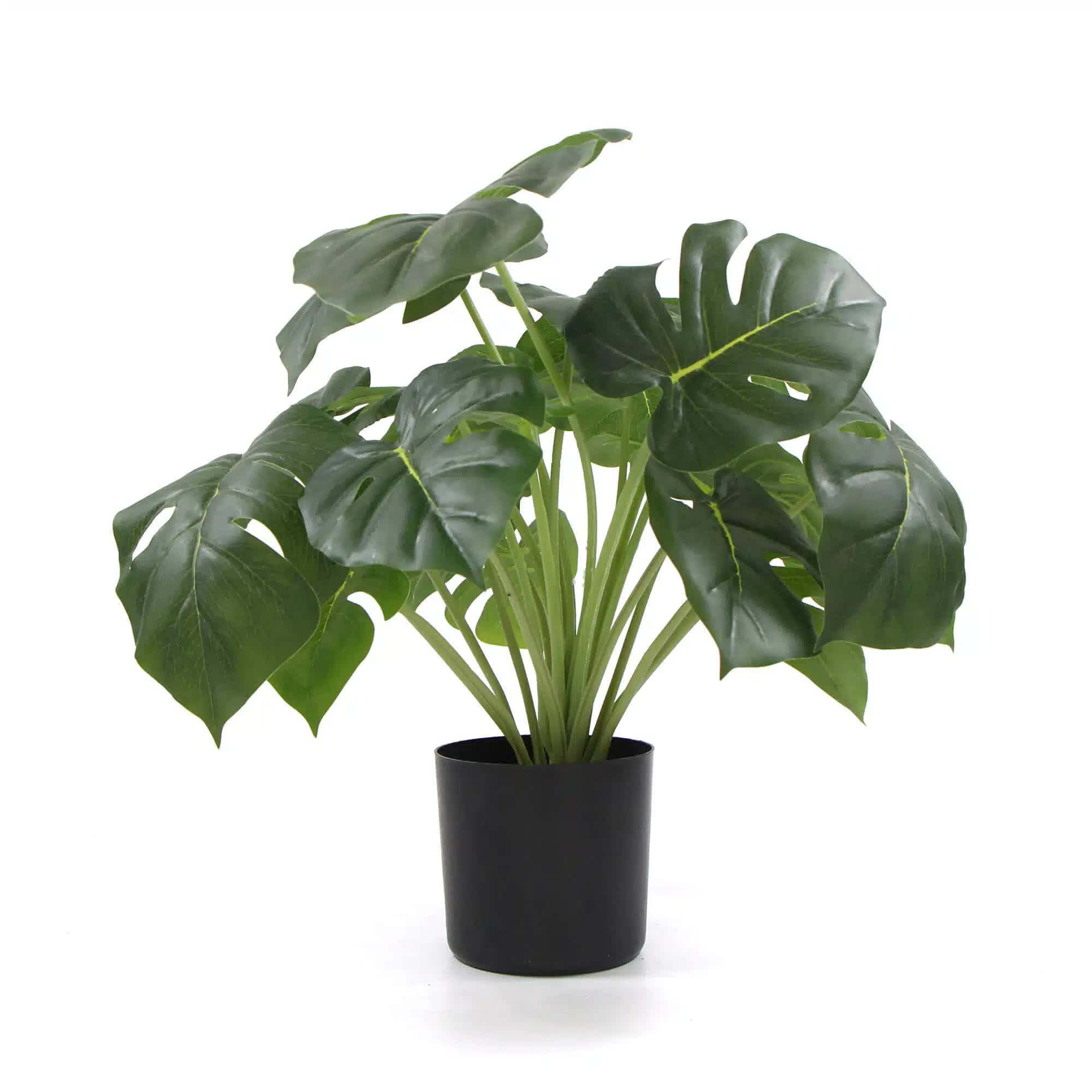 Dense Potted Artificial Monstera Deliciosa Plant With Real Touch Leaves 50cm V637-DP8870012