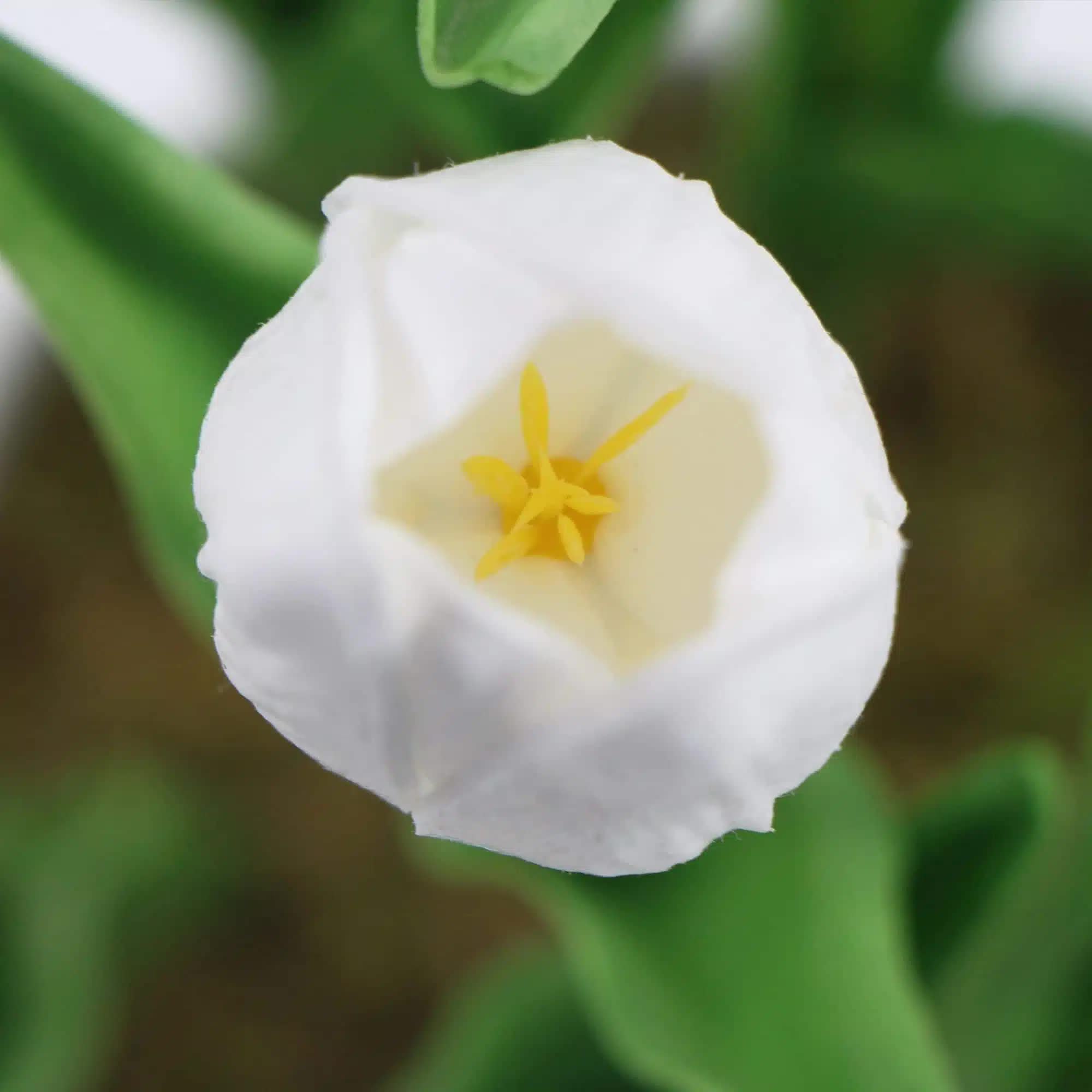 Flowering White Artificial Tulip Plant Arrangement With Ceramic Bowl 35cm V637-DP8870015