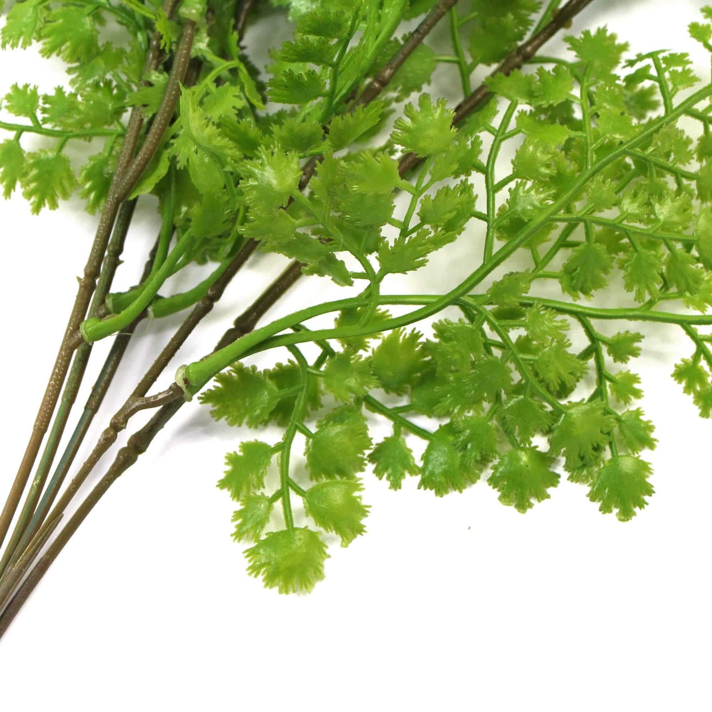Hanging Native Green Dense Maiden Hair Fern Bush UV Resistant 80cm V637-DP8880004