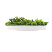 Flowering White Artificial Green Wall Disc UV Resistant 75cm (White Frame) V637-DP8880011