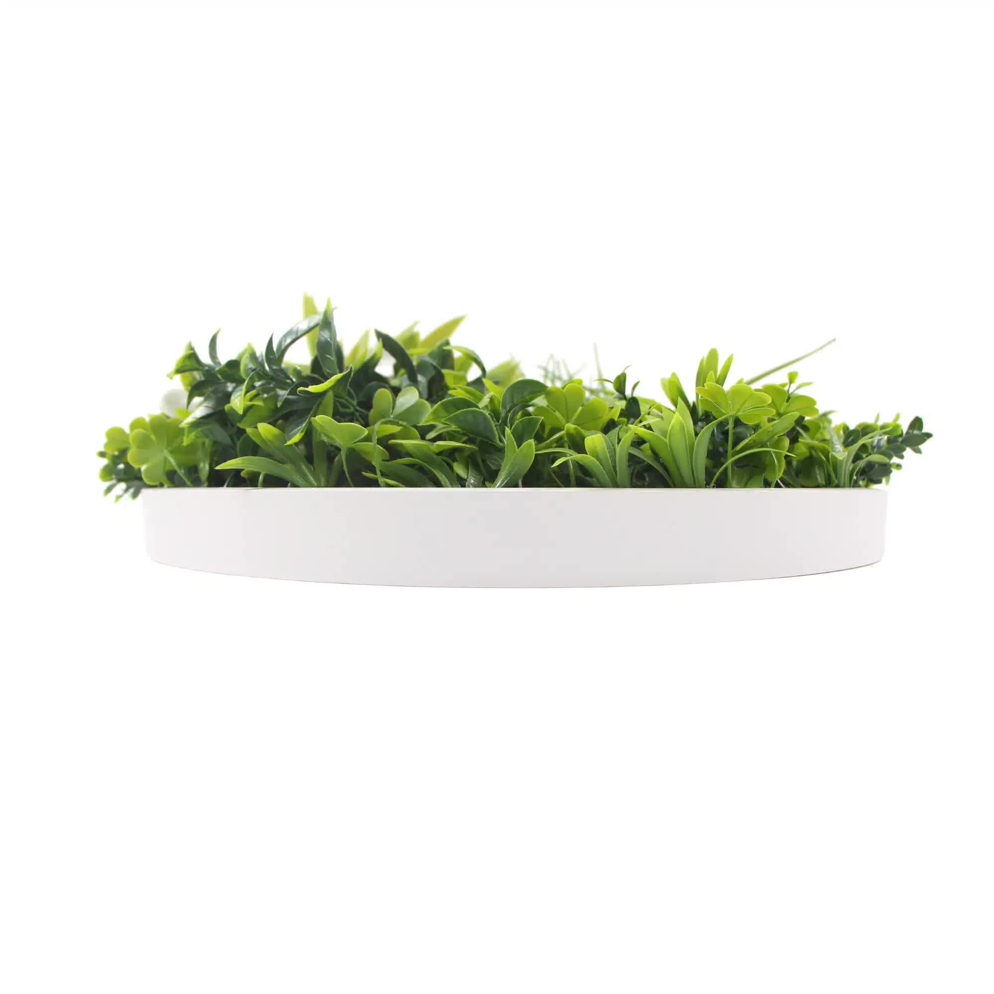 Flowering White Artificial Green Wall Disc UV Resistant 75cm (White Frame) V637-DP8880011