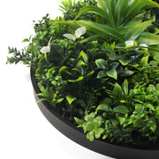 Slimline Flowering White Artificial Green Wall Disc UV Resistant 75cm (Black Frame) V637-DP8880022