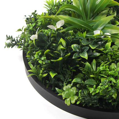 Slimline Flowering White Artificial Green Wall Disc UV Resistant 75cm (Black Frame) V637-DP8880022